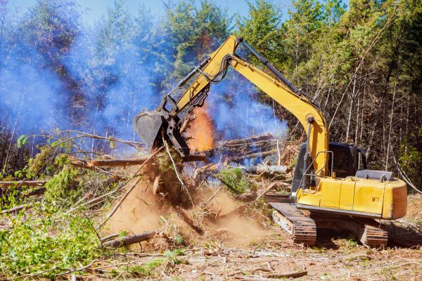 Youngstown Land Clearing